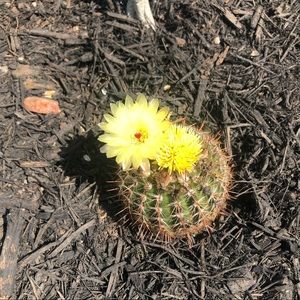 Meet your Posher, Abril